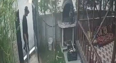 Semaver çalan hırsız kameralara yansıdı.