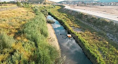 Sincan Belediyesi havadan ilaçlama seferberliği başlattı