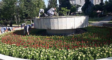 Sincan'da park ve bahçeler çiçeklendi