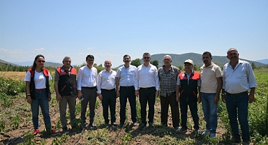 Sındırgı'da Yerli Üretim İle Alınan Verim Yüzleri Güldürdü