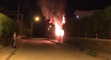 Site bahçesindeki ağaçları ateşe verdiler