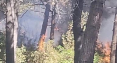 Sultangazi'de bulunan kent ormanında yangın