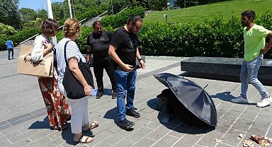 Taksim'de polis ve vatandaşlar yaralı köpek için seferber oldu