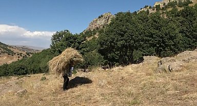 Tırpan ile biçtikleri otları 1 kilometre sırtlarında taşıyarak kışa hazırlık yapıyorlar