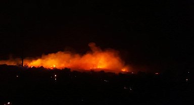 Urla'da Makilik Alanda Korkutan Yangın