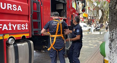 152 yıllık anıt ağaçta mahsur kalan kuş itfaiye ekipleri tarafından kurtarıldı