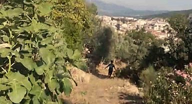 'Muğla'nın üstünde büyü var' diyerek ormanı yakmış