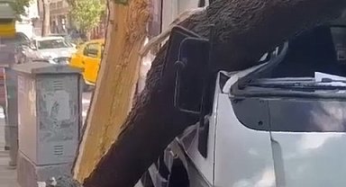 Ağaç kamyonetin üzerine devrildi