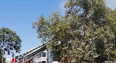 Ankara'da oto lastikçide çatı yangını