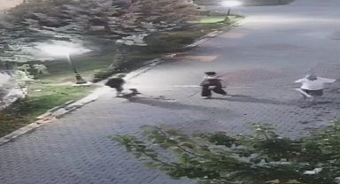 Ankara'da yaşlı kadına köpek saldırdı