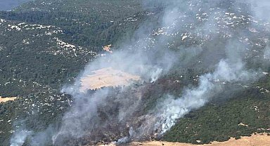 Antalya Kaş'ta orman yangını kontrol altına alındı