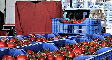 Antalya'da domates miktarı azalınca, fiyatı arttı