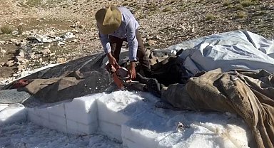 Bahar aylarında koruma altına aldıkları 'kar dağlarını' ağaç motoruyla kesiyorlar