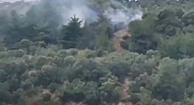 Bursa'da makilik alanda çıkan yangın söndürüldü