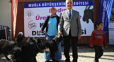 Büyükşehir'in Kıl Keçisi desteği 3 ilçede devam ediyor