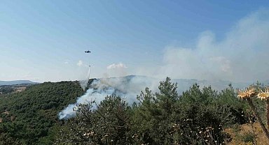 Çan'daki orman yangını kontrol altına alındı