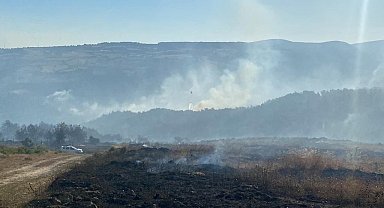 Çanakkale Valiliği orman yangınlarına karşı uyardı