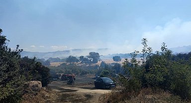 Çanakkale'de tarım arazilerinin bulunduğu bölgede yangın