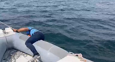 Denizde mahsur kalan martıya polis şefkati