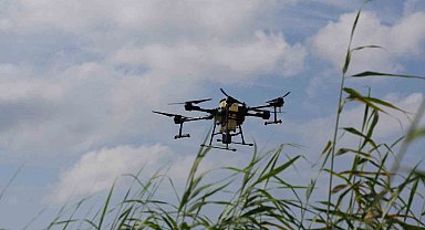 Drone ile sinek avı