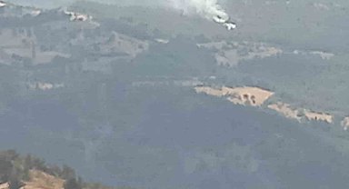 İzmir'de 2 orman yangını yaklaşık 30 dakikada kontrol altına alındı
