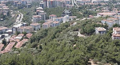 İzmir'de bir mahalle orman yangını korkusuyla yaşıyor