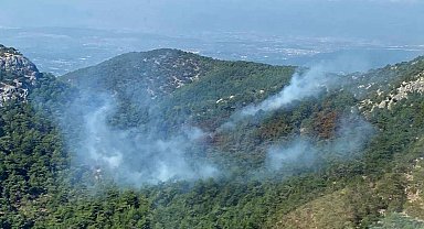 İzmir'deki orman yangını kısmen kontrol altında