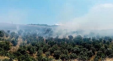 İznik'te makilik alanda çıkan yangın söndürüldü