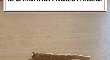 Jandarmadan 5 ilçede uyuşturucu operasyonu