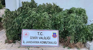 Jandarmadan uyuşturucu tacirlerine geçit yok