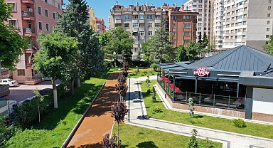 Kafe Karatayların sayısı artıyor