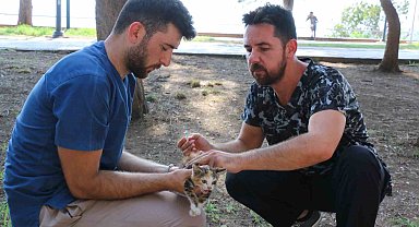 Kaleiçi'ndeki kedi ve köpeklere iç-dış parazit ilaçlaması