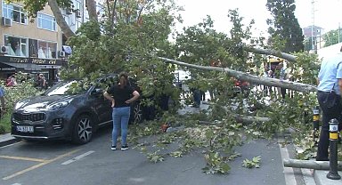 Kartal'da ağaç devrildi, aracın camı patladı