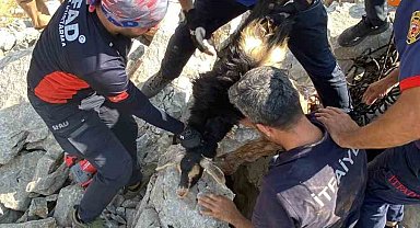 Kayaların arasına sıkışan keçiyi AFAD ve itfaiye ekibi kurtardı