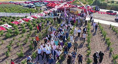 Keçiören'de Lavanta ve Gül Bahçesi'nde hasat yapıldı