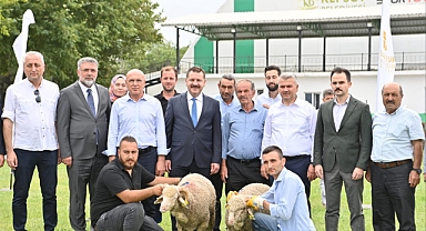 Kepsut’ta 85 Üreticiye 585 Küçükbaş Desteği