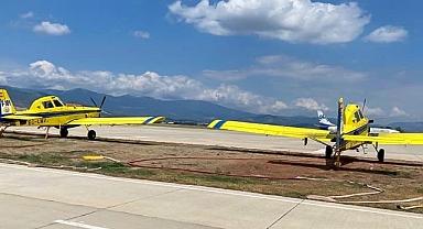 Koca Seyit, Sarı Kanatlara Ev Sahipliği Yapıyor