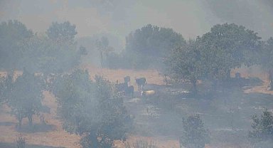 Mangal Kömürü ocağından çıkan yangın dron ile görüntülendi