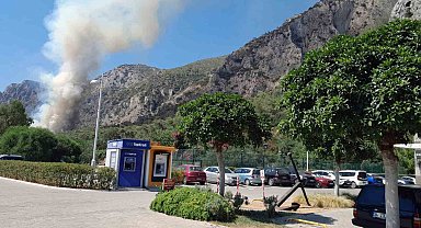 Milas'ta orman yangını