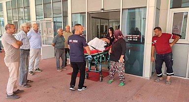 Muhtar, koyunların bahçeye girmesinden dolayı tartıştığı genci silahla yaraladı
