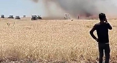 Muş'ta 300 dönüm ekili alan yandı