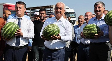 Muş'ta karpuz hasadından 1 milyar 200 milyon lira gelir bekleniyor