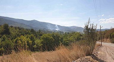 Orhaneli'de ormanlık alanda çıkan yangın söndürüldü