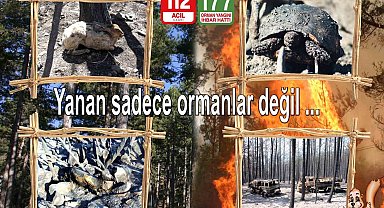 Orman yangınlarına karşı vatandaşlar uyarıldı