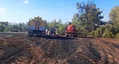 Ormanlık alanda başlayan yangın tarım arazisine sıçradı