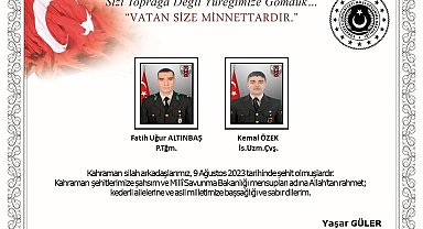 Pençe-Kilit bölgesinde 2 asker şehit oldu