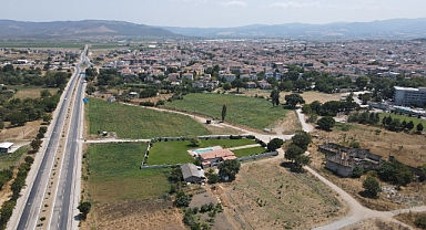 Pirincin Başkentinde Çevre Katliamı