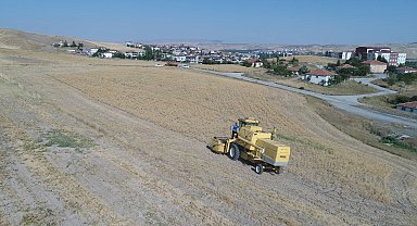Pursaklar'da hasat vakti