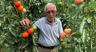 Seracılık üreticinin yüzünü güldürüyor