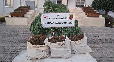 Serik'te jandarmadan uyuşturucu operasyonu: 3 gözaltı